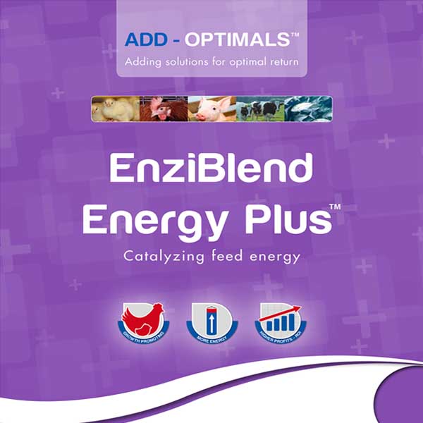 EnziBlend Energy Plus
