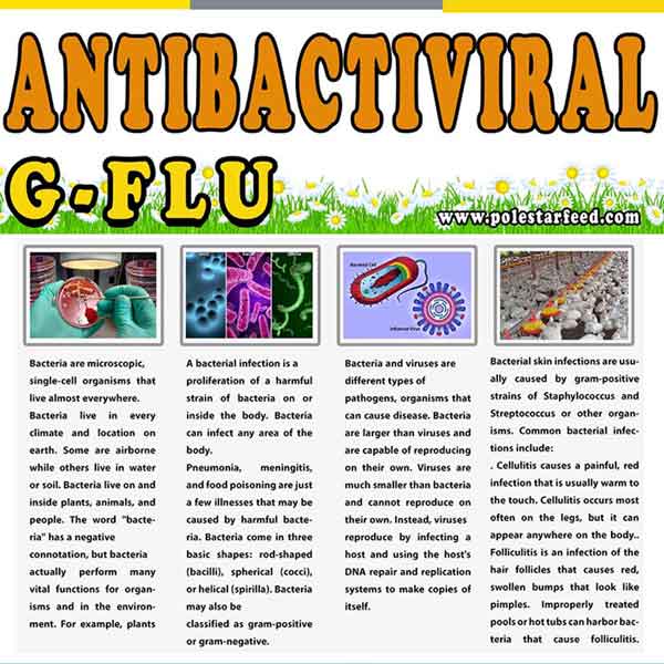 G Flu Antibactiviral