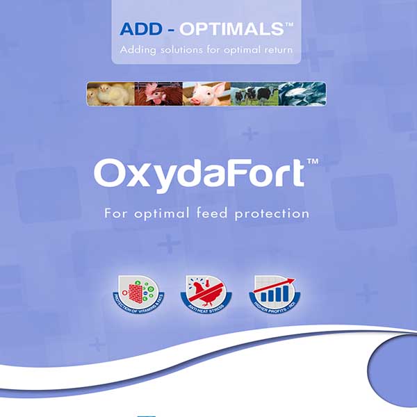 OxydaFort