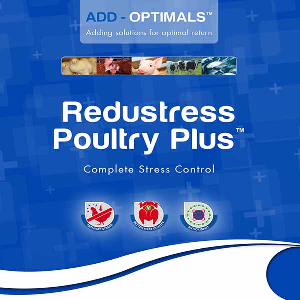 Redustress  Poultry Plus 